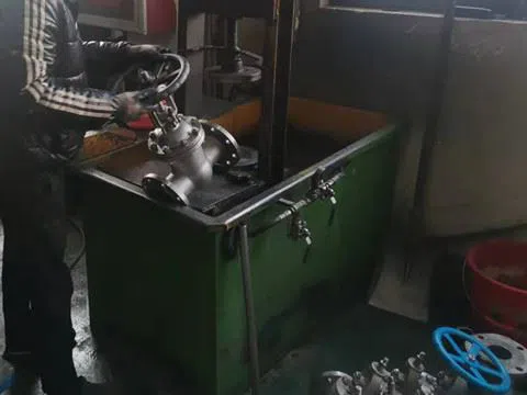 Class aptent taciti sociosqu ad litora torquent per缩略图