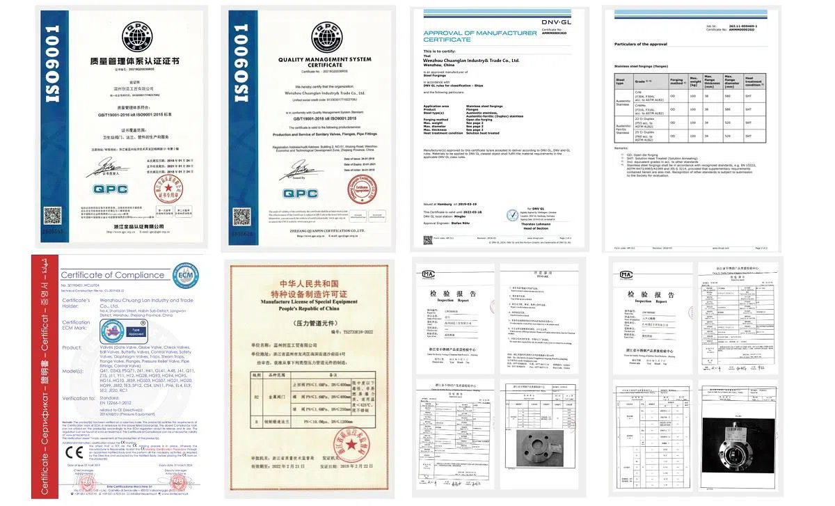 cl 8(1) About Us插图2